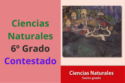 Libro Ciencias Naturales sexto grado contestado