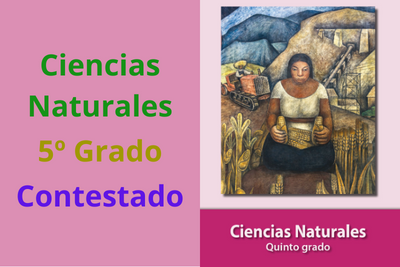 Libro de Ciencias Naturales quinto grado contestado